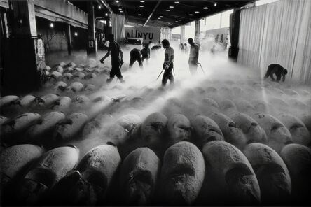 Chao-Liang Shen, ‘Tsukiji Fish Market, Tokyo, Japan: 1994.07’, 1997