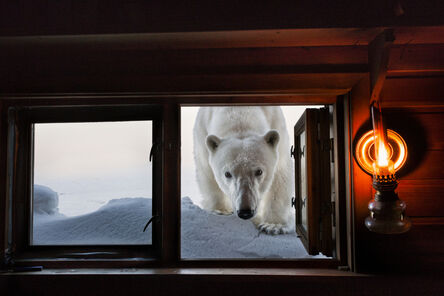 Paul Nicklen, ‘Face to Face’, 2008