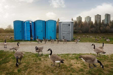 Kevin Lanthier, ‘Permanent Resident Canada Geese’, 2020