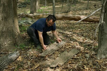 David Brooks, ‘Tour and lunch with artist David Brooks at Storm King Art Center for up to 10 guests’, 2018-2019