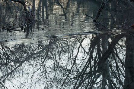 David H. Gibson, ‘Morning Along Cypress Creek, February 2, 2013, 7:23 AM, Wimberley, Texas’, ca. 2013