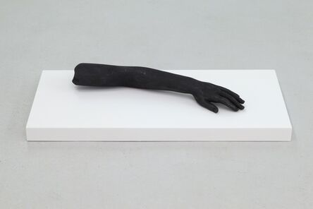 Mateo López, ‘Brazo (arm)’, 2014