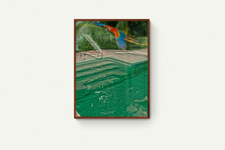 Rachel Hulin, ‘Parrot and Pool’, 2023