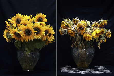 Lidzie Alvisa, ‘Diptico: Girasoles de Van Gogh / Diptych: Sunflower by Van Gogh’, 2005