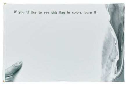 Ahmet Ögüt, ‘If You'd Like This Flag in Colors, Burn It (In memory of Marinus Boezem)’, 2017