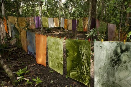 Susana Mejía, ‘Color Amazonia’, 2014