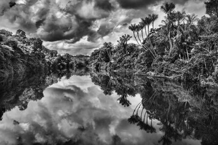 Sebastião Salgado, ‘Landscape of an igapó, a type of forest frequently flooded by river water, with jauari palm trees (Astrocaryum jauari), Jaú River, Jaú National Park, state of Amazonas’, 2019 [printed on request] 