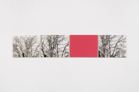 Uta Barth, ‘white blind (bright red) (02.13)’, 2002