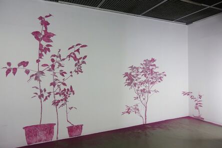 Chiu Cheng-hong 邱承宏, ‘Plants_ Installation’