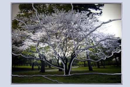 Sarkis, ‘Cerisier à Beppu (V15)’, 2011