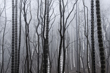Lisa Stefanelli, ‘A Season of Litanies Series: Forest of Grey’, 2013