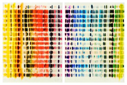 Jaq Chartier, ‘Spectrum Chart - Warm Colors vs. Cool Colors (Diptych)’, 2015