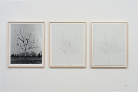 Charles Gaines, ‘Walnut Tree Orchard, Set 4 (version 2) ’, 1975-2014