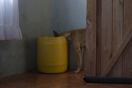 Mack Magagane, ‘Dog’, 2014