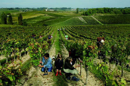 VINIV, ‘Exclusive Fine Wine Experience in Bordeaux’