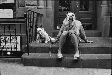 Elliott Erwitt, ‘New York City (Bulldogs on stoop)’, 2000