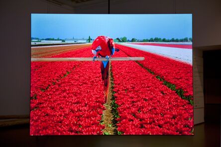 Marijke van Warmerdam, ‘Rrrolle - red, 35 mm film loop’, 2011