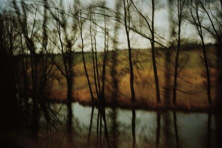 Nan Goldin, ‘Trees by the River, Munich’, 1994