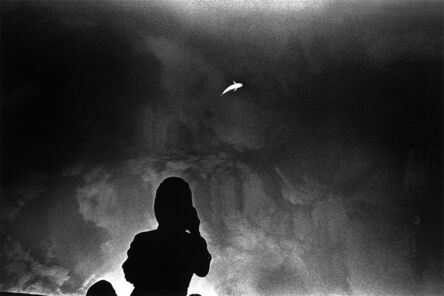 Kikuji Kawada, ‘Floating Fish and a Photographer, Todabashi, Saitama Pref., 1975’, 1975