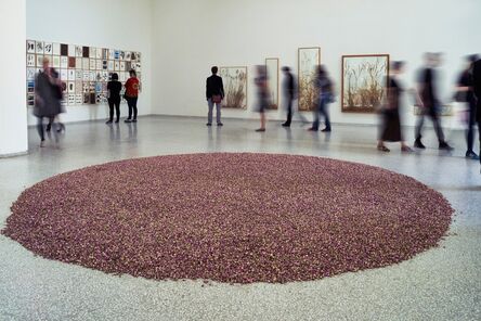 herman de vries, ‘108 pound rosa damascena (Installation view)’, 2015