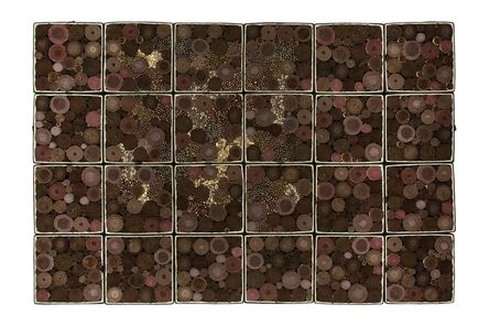 Steven and William Ladd, ‘Chocolate’, 2013