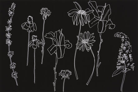 Gail Norfleet, ‘White Line Flowers XIV’, 2016
