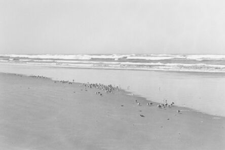 Robert Adams (b.1937), ‘North Beach Peninsula, Pacific County, Washington’, 2008