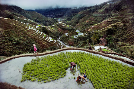 Steve McCurry, ‘Banaue Rice Terraces, Philippines’, 1985