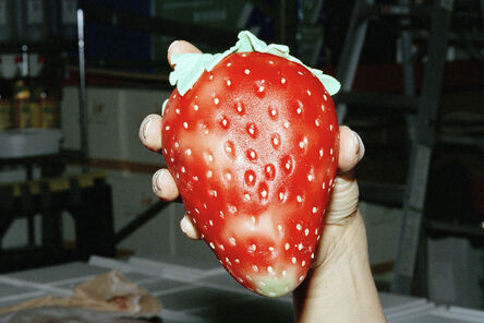 Vik Muniz, ‘More or Less a Strawberry Shortcake’, 2009
