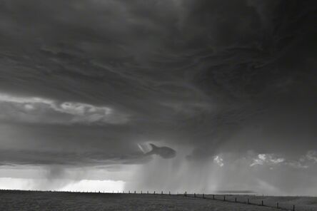 Mitch Dobrowner, ‘Fish and Fence’, 2014