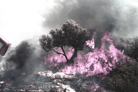 Oded Yedaya, ‘Pink Fire’, 2009-2012