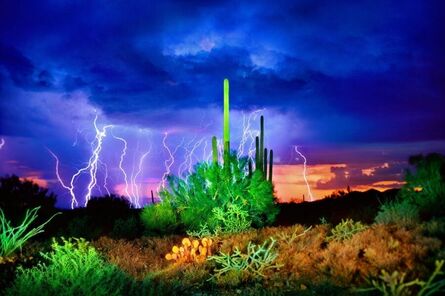 William Lesch, ‘Lightning, Summer Thunderstorm, Tucson Mountains’, 1997
