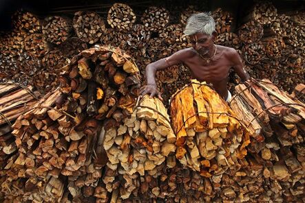 Somenath Mukhopadhyay, ‘Wood Man’, 2010