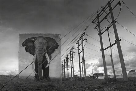 Nick Brandt, ‘Electric Pylons with Elephant’, 2014