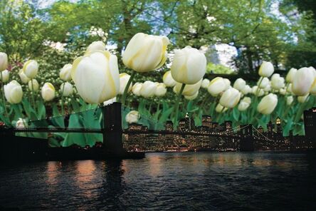 Isack Kousnsky, ‘Brooklyn Bridge with Tulips ’, 2013