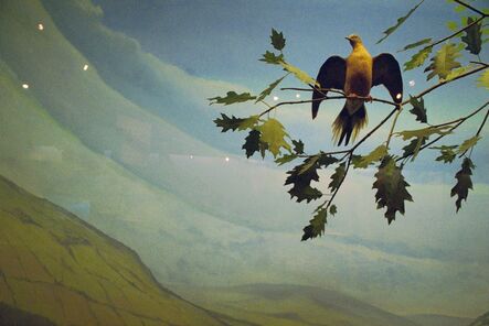 Rebecca Norris Webb, ‘Extinct Passenger Pigeon Diorama, Rochester Museum and Science Center’, 2013