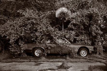Gary Beeber, ‘Abandoned Jaguar’, 2019