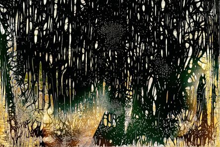 Nolan Preece, ‘Forest (edition of 10)’, 2016