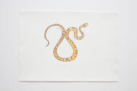 Joan Jonas, ‘Orange Snake #2’, 2006