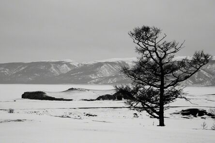 Matthew Webb, ‘A lonely tree (Olkhon Island, Lake Baikal, Siberia)’, 2013