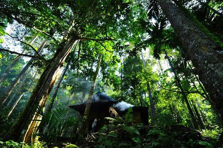 Eka Fendiaspara, ‘Pahmung Krui Damar Forest’, 2010