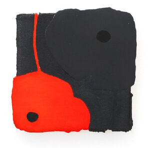 Black and Red Poppy