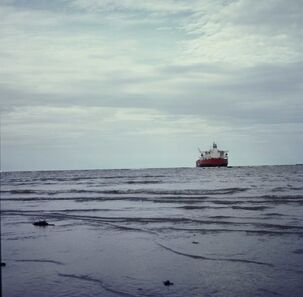 Simryn Gill, ‘Channel’, 2014