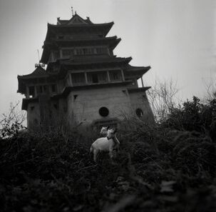 Tian Ye, ‘Kaifeng’, 2000