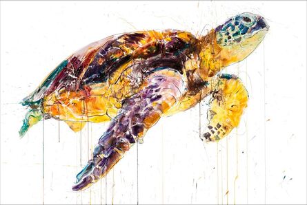 Dave White, ‘Sea Turtle ’, 2023