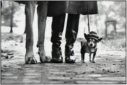 Elliott Erwitt, ‘New York City, 1974 (dog legs)’, 1974