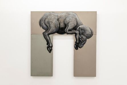 ROA, ‘OVIS ORIENTALIS ORIENTALIS | Mouflon’, 2019