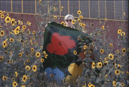 William John Kennedy, ‘Warhol Flowers X’, Executed 1964-Printed 2012