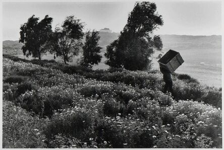 Leonard Freed, ‘Man carries empty box up hill, Sicily, Italy ’, 1975