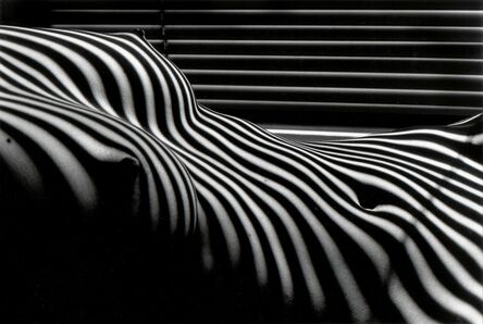 Lucien Clergue, ‘Nu Zebre, New York ’, 1997